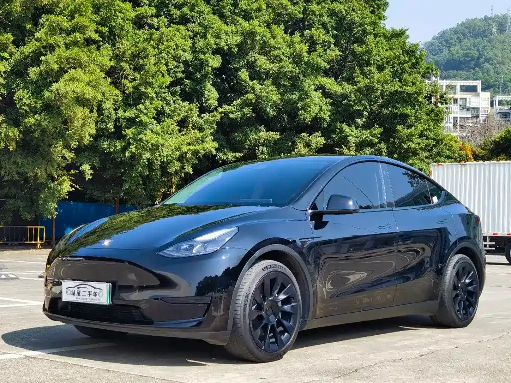 Tesla Model Y 2022 из CN, фото 1