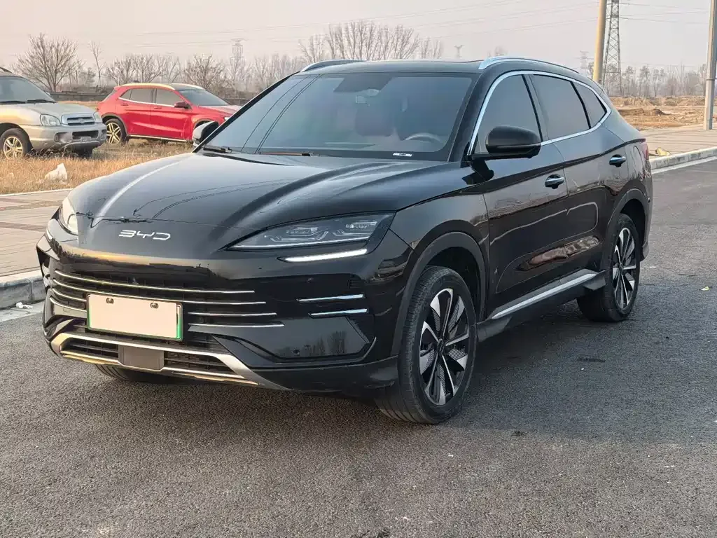 BYD PLUS New Energy 2024 из CN, фото 1