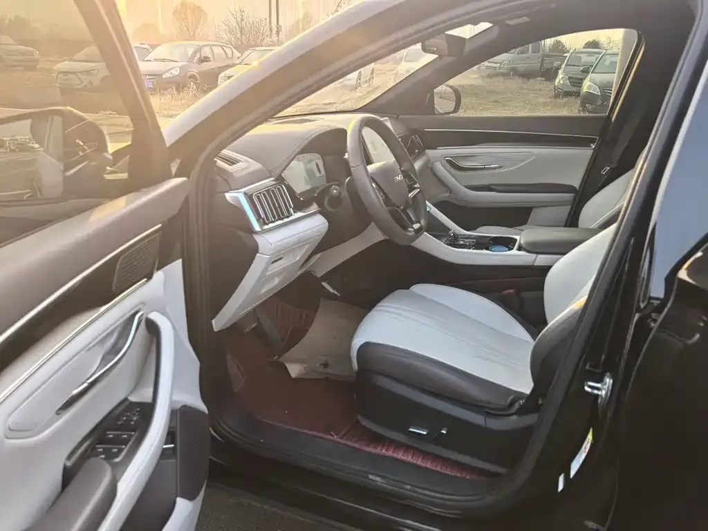 BYD PLUS New Energy 2024 из CN, фото 3