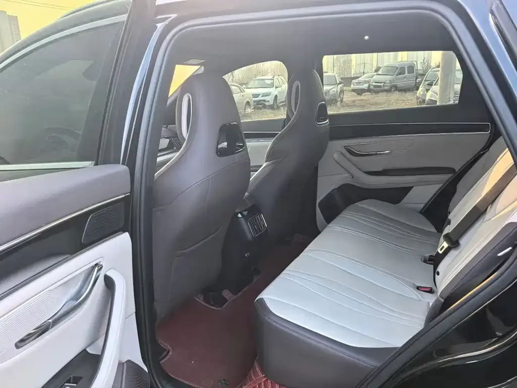 BYD PLUS New Energy 2024 из CN, фото 2
