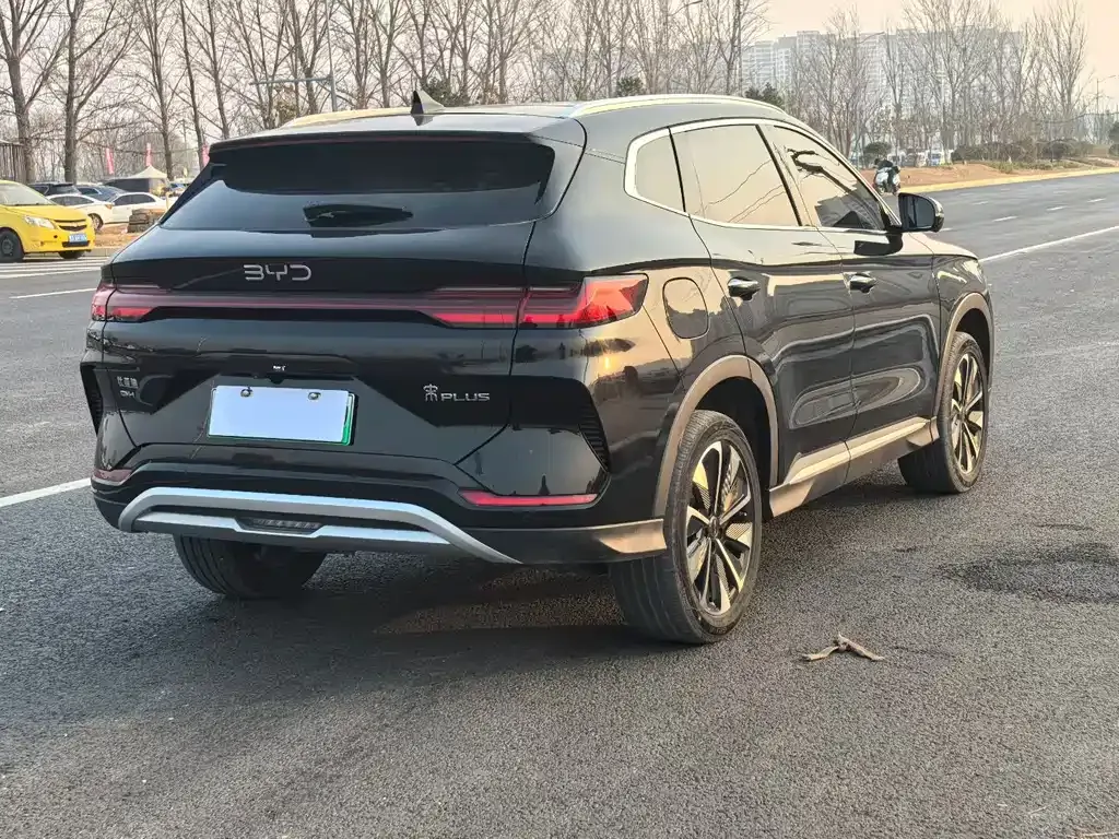 BYD PLUS New Energy 2024 из CN, фото 8