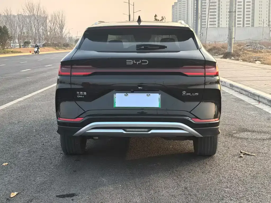 BYD PLUS New Energy 2024 из CN, фото 5