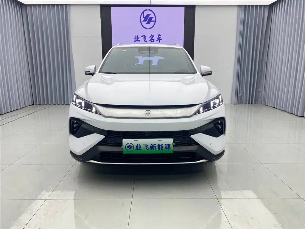 BYD Pro New Energy 2025 из CN, фото 5