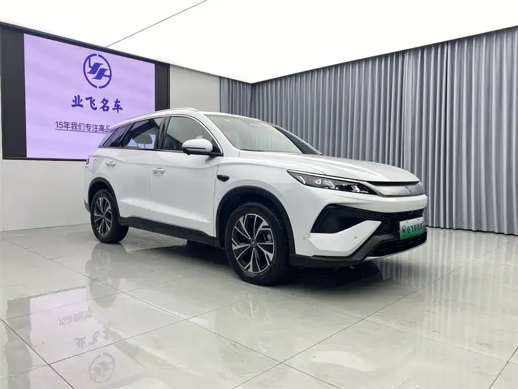BYD Pro New Energy 2025 из CN, фото 6