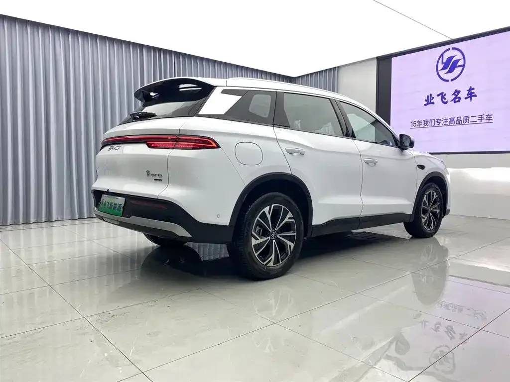 BYD Pro New Energy 2025 из CN, фото 7