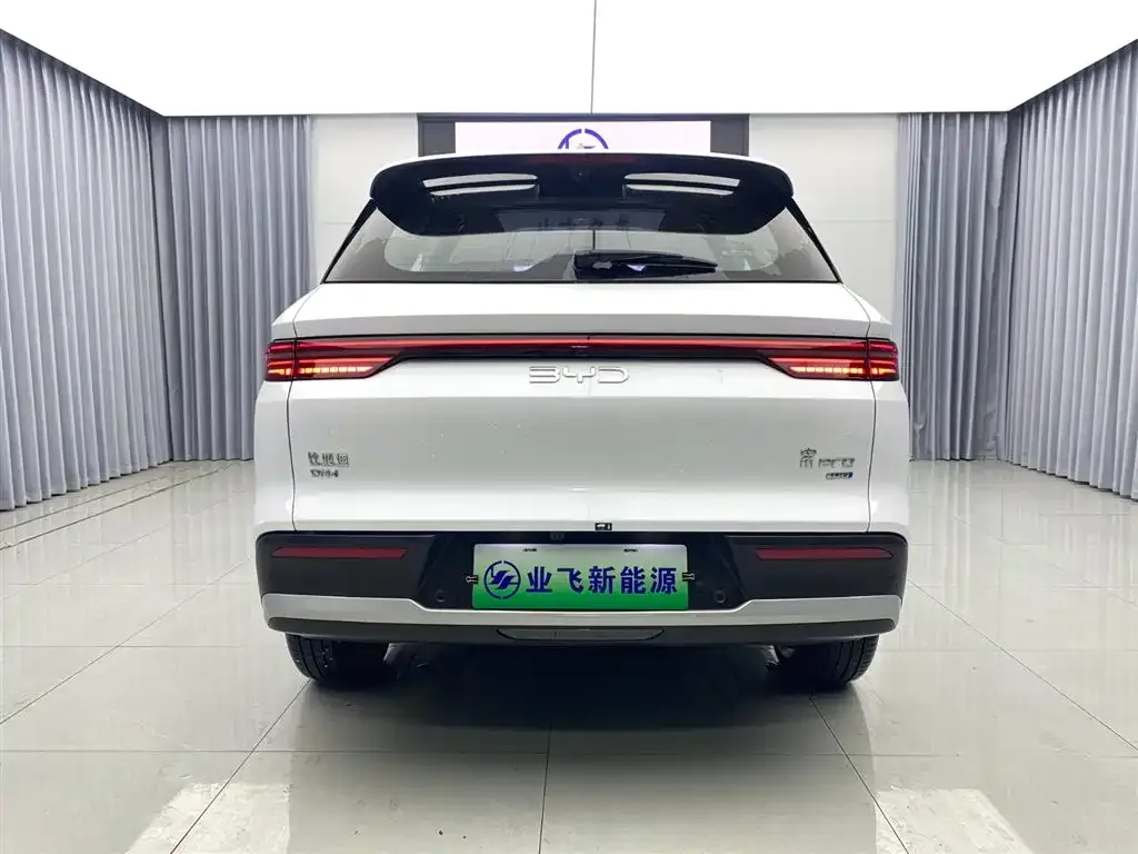 BYD Pro New Energy 2025 из CN, фото 9