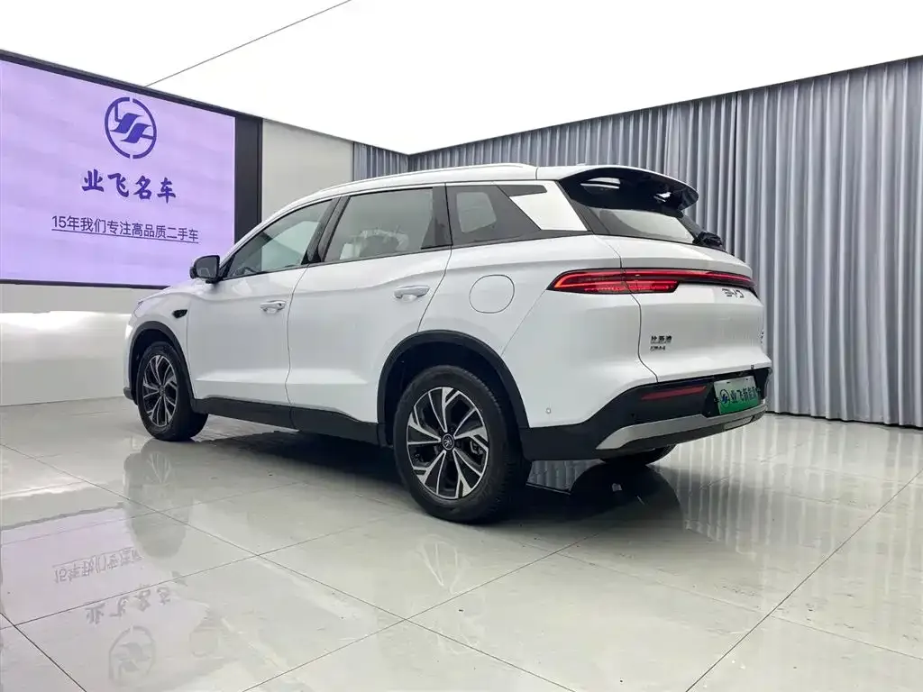 BYD Pro New Energy 2025 из CN, фото 2