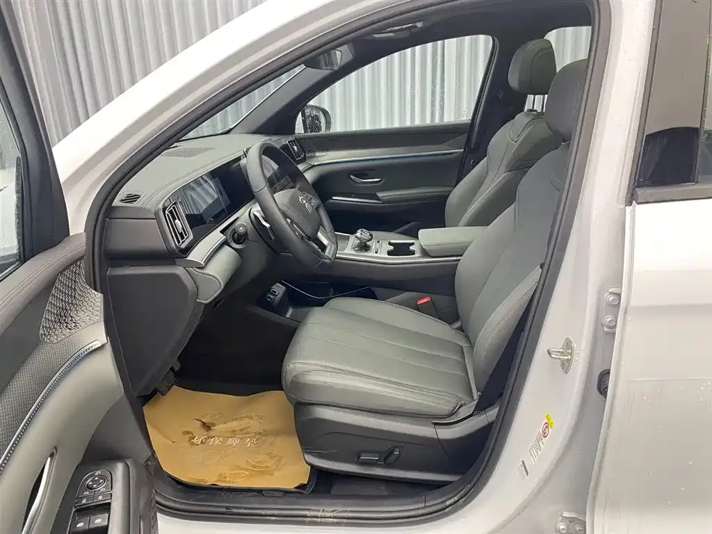 BYD Pro New Energy 2025 из CN, фото 8