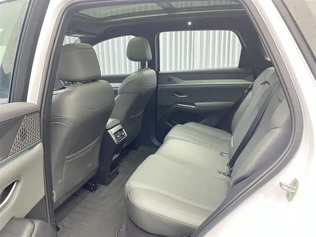 BYD Pro New Energy 2025 из CN, фото 3