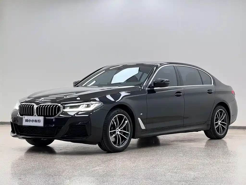 BMW 5 Series 2023 из CN, фото 5