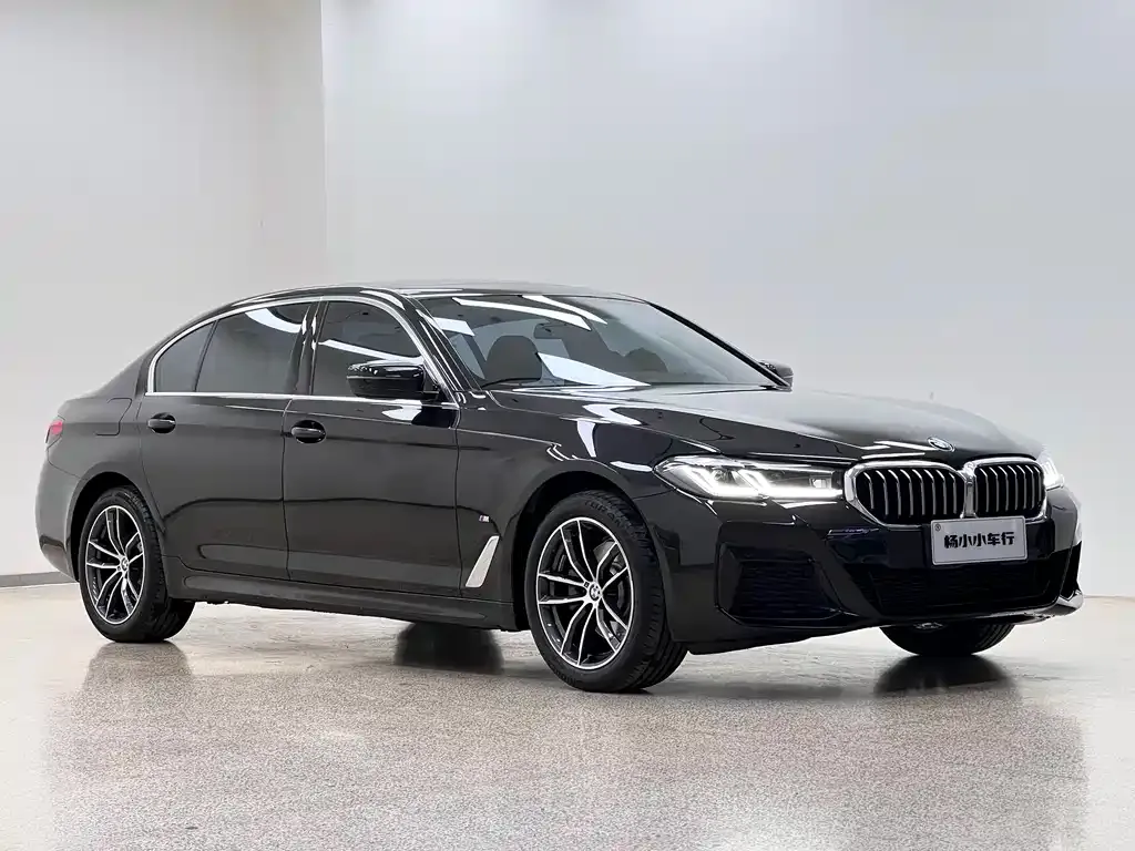 BMW 5 Series 2023 из CN, фото 3
