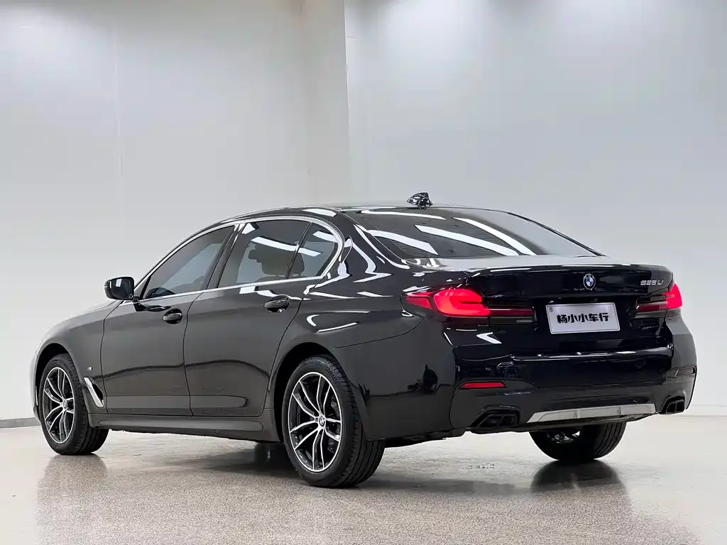 BMW 5 Series 2023 из CN, фото 6