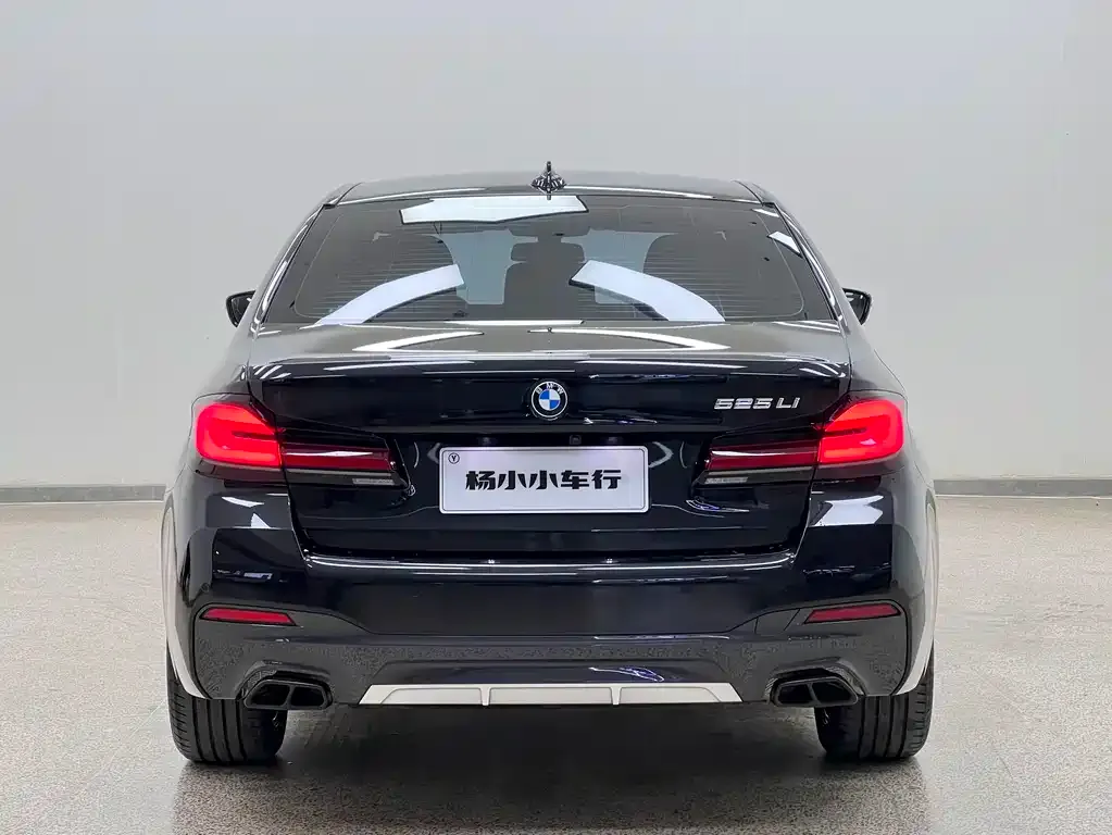 BMW 5 Series 2023 из CN, фото 4