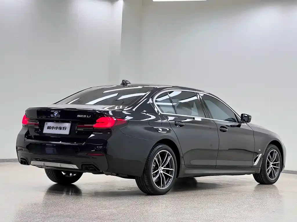 BMW 5 Series 2023 из CN, фото 9