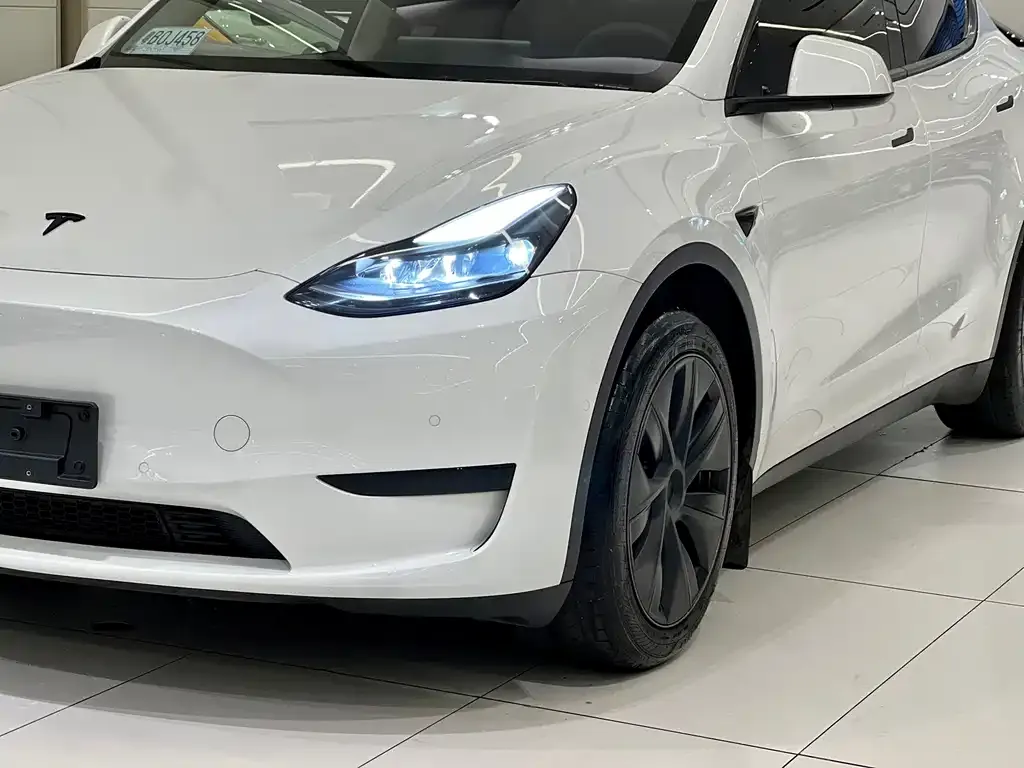 Tesla Model Y 2024 из CN, фото 6