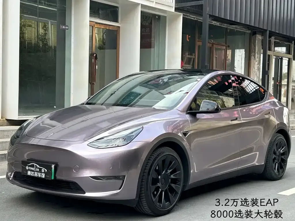 Tesla Model Y 2021 из CN, фото 1