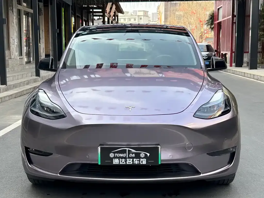 Tesla Model Y 2021 из CN, фото 5