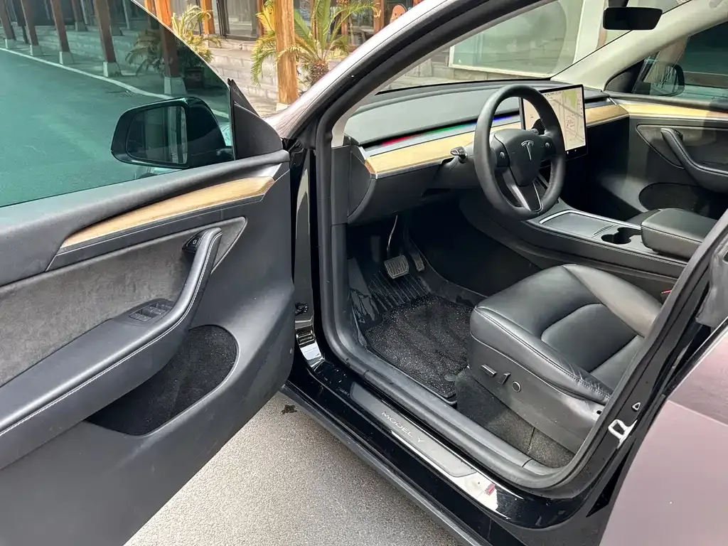 Tesla Model Y 2021 из CN, фото 9