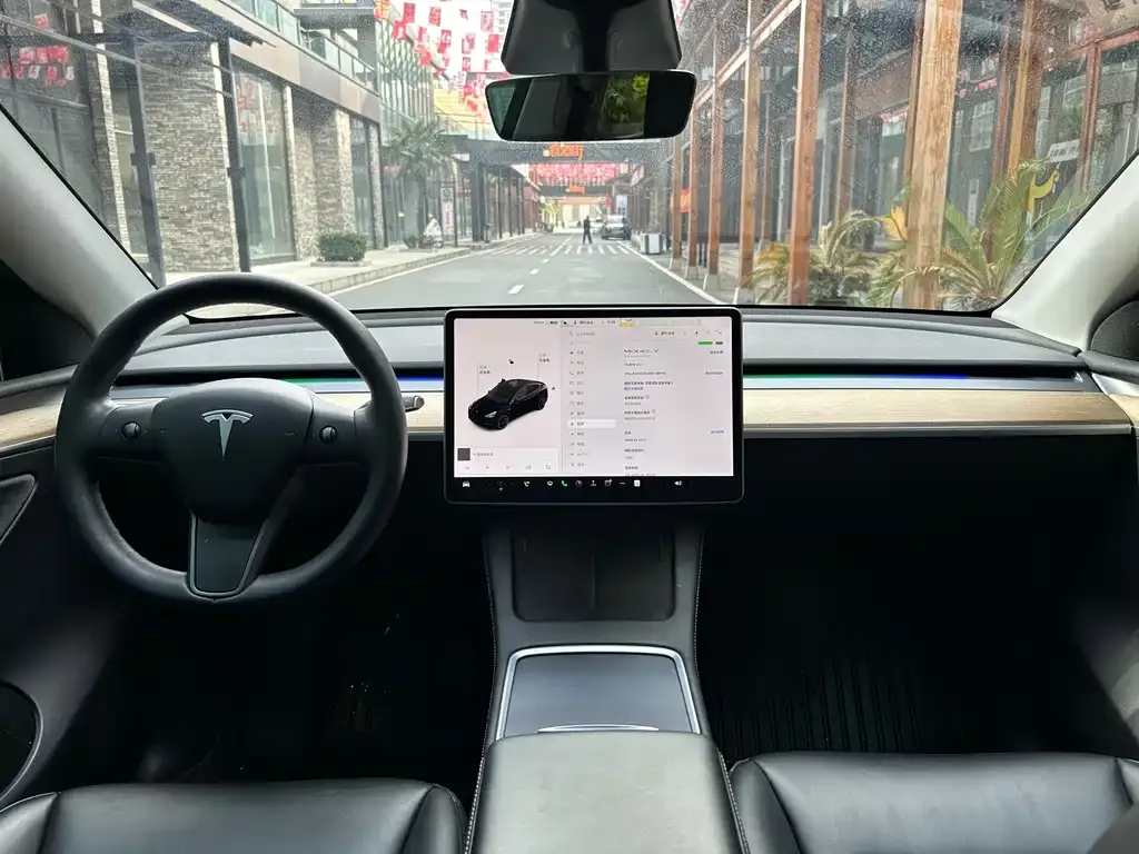 Tesla Model Y 2021 из CN, фото 6