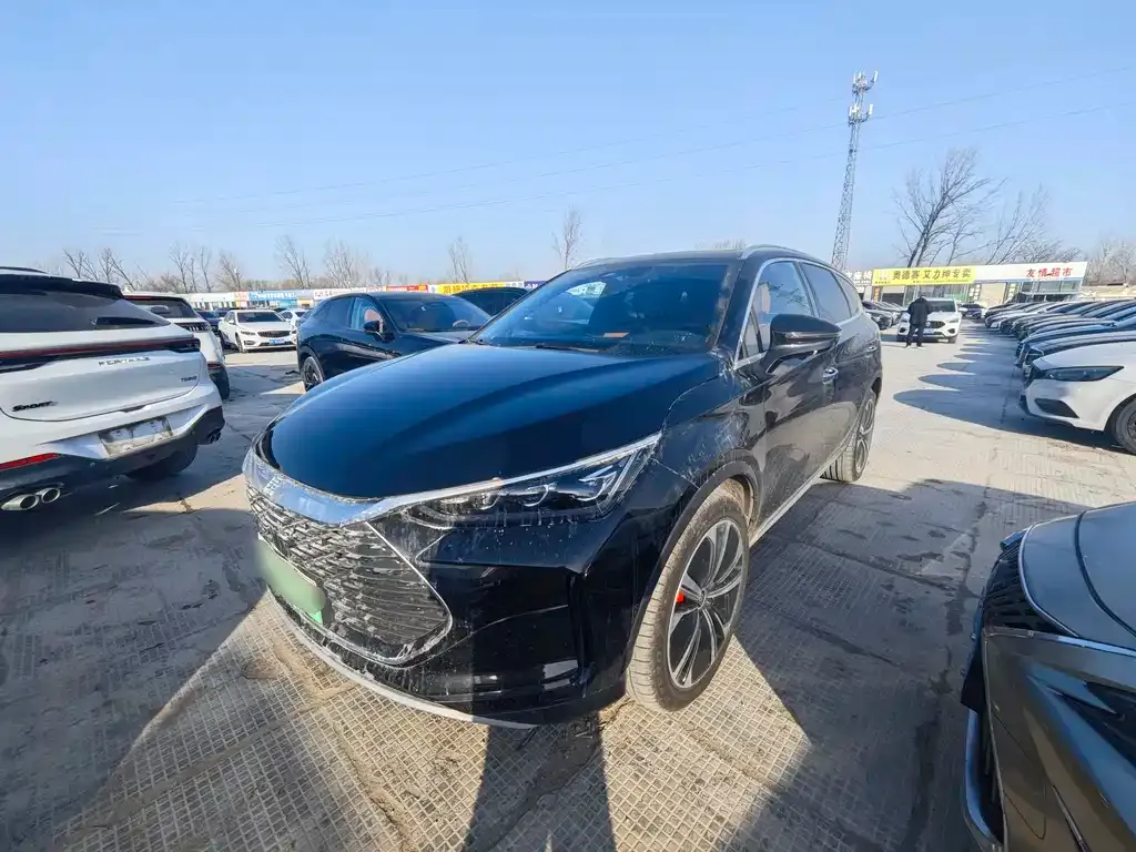 BYD Tang New Energy 2023 из CN, фото 1