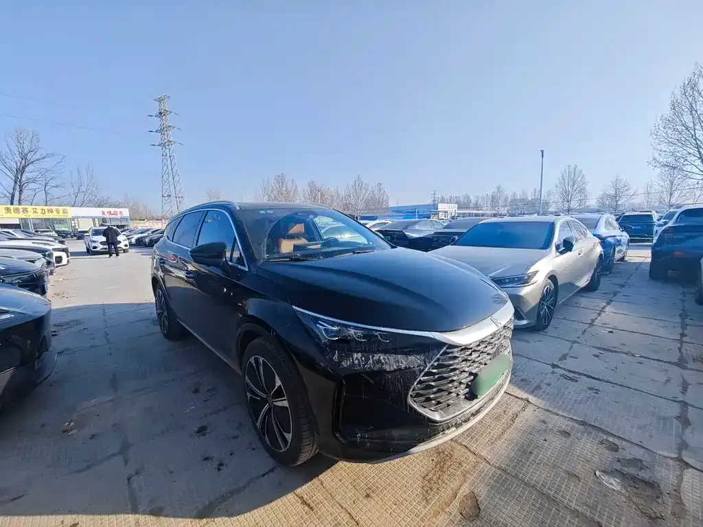 BYD Tang New Energy 2023 из CN, фото 4