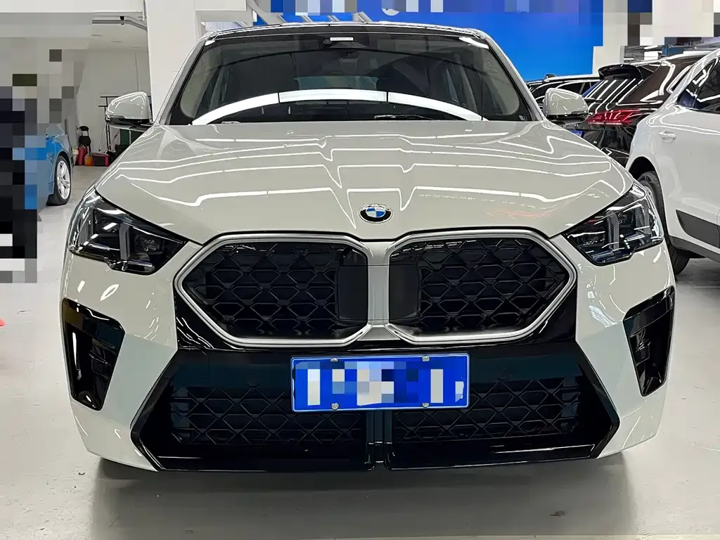 BMW X2 (Import) 2025 из CN, фото 4