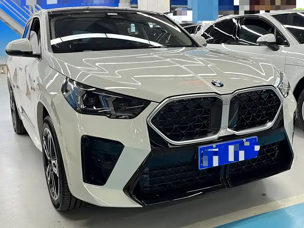 BMW X2 (Import) 2025 из CN, фото 9