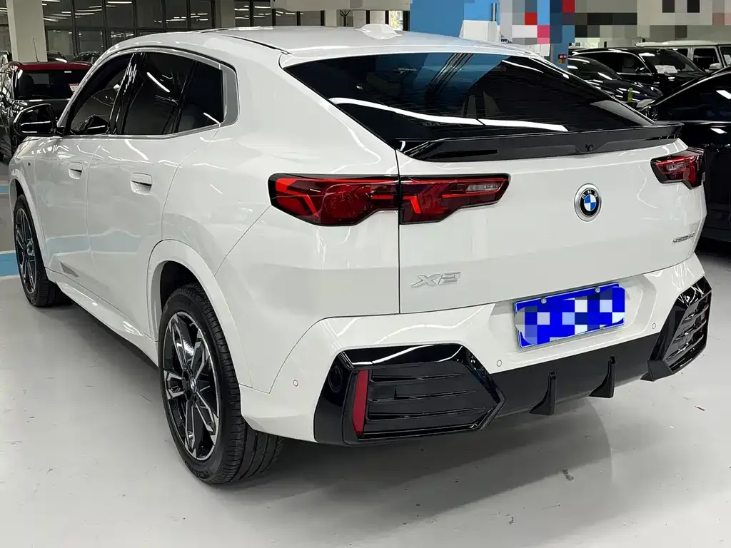 BMW X2 (Import) 2025 из CN, фото 8