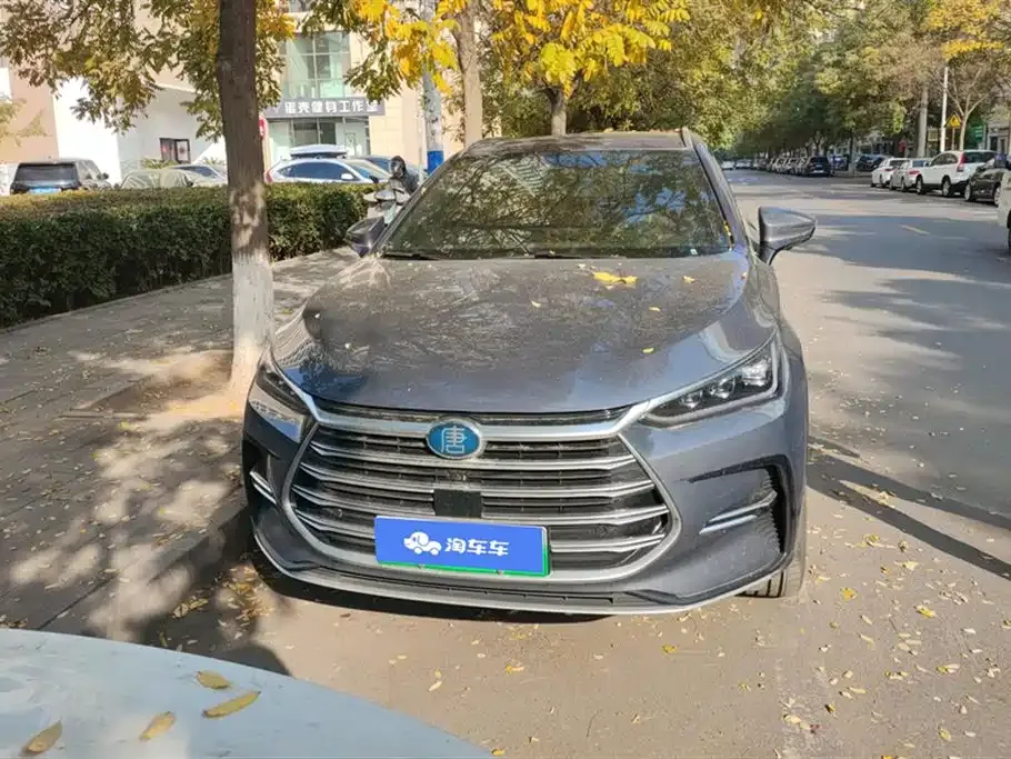 BYD Tang New Energy 2024 из CN, фото 4