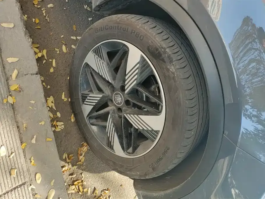 BYD Tang New Energy 2024 из CN, фото 8
