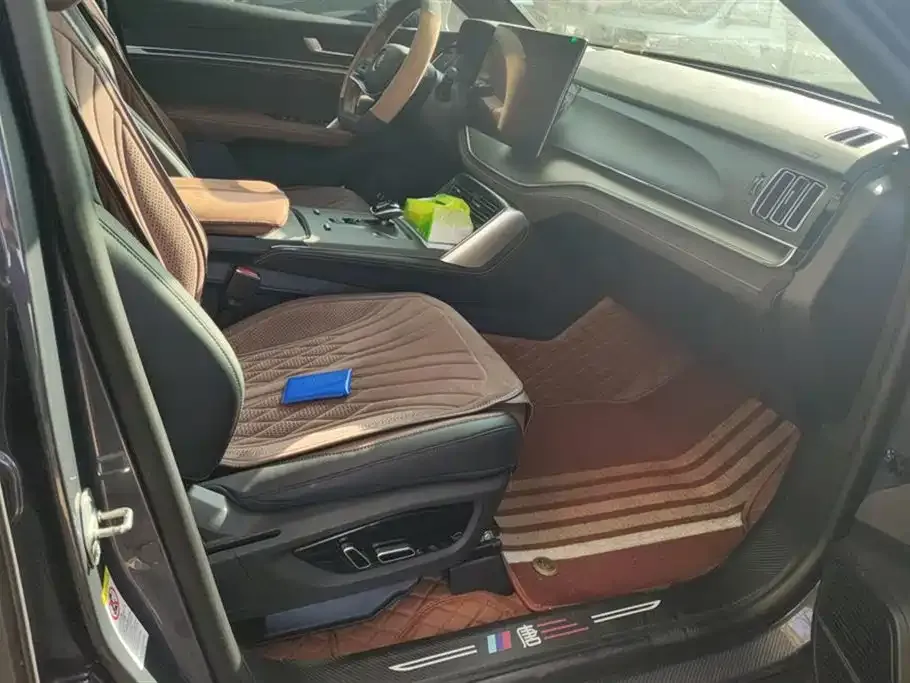 BYD Tang New Energy 2024 из CN, фото 5
