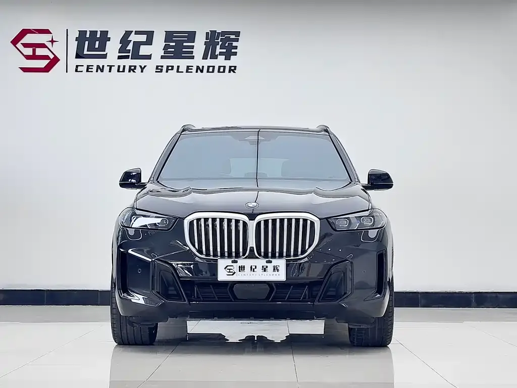 BMW X5 2024 из CN, фото 6