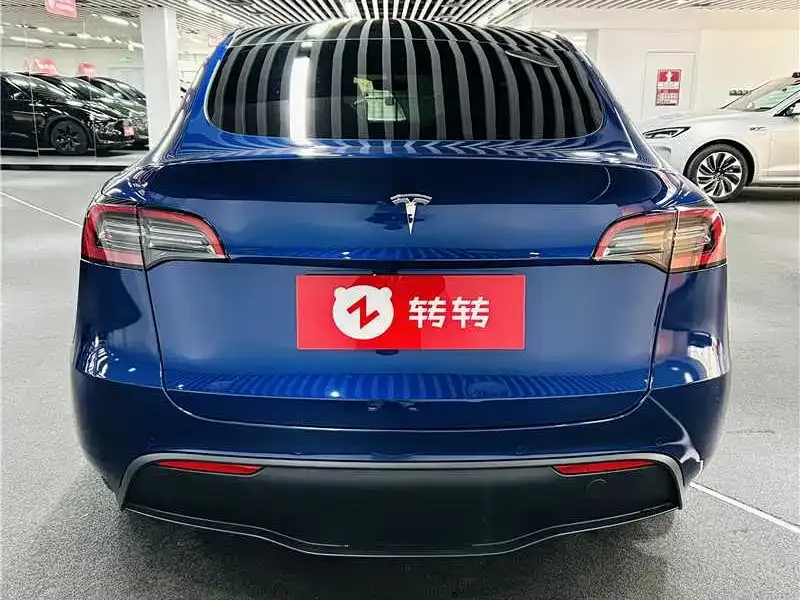 Tesla Model Y 2021 из CN, фото 7