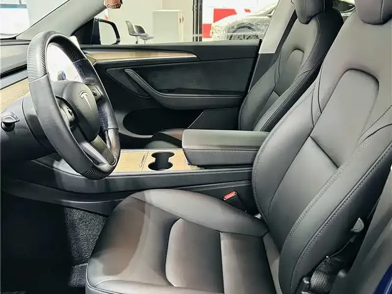 Tesla Model Y 2021 из CN, фото 4