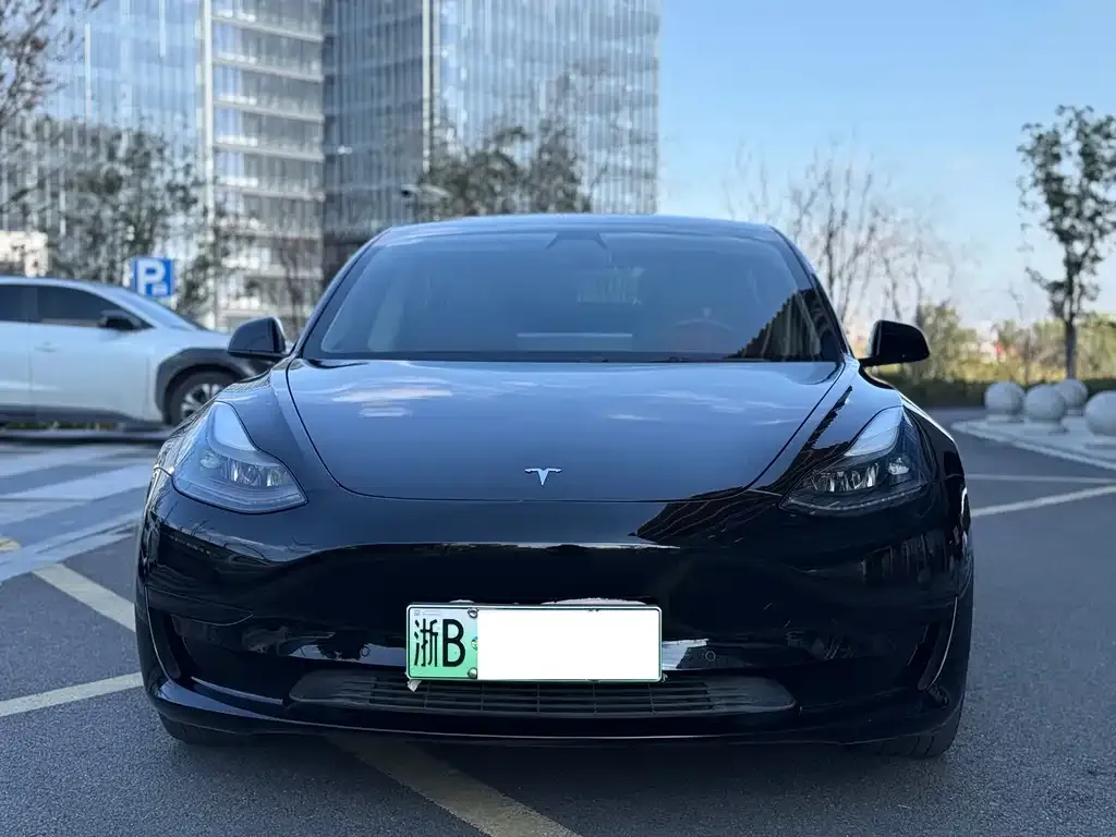 Tesla Model 3 2021 из CN, фото 1