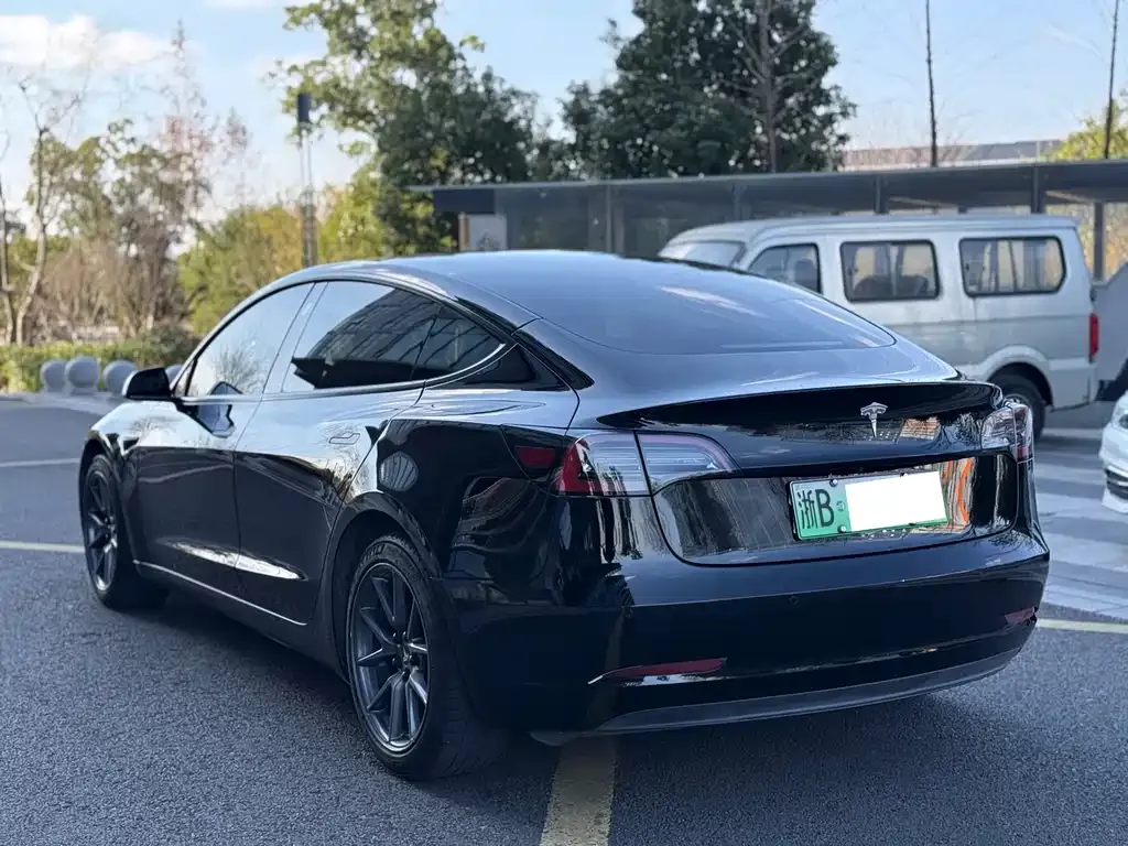 Tesla Model 3 2021 из CN, фото 4