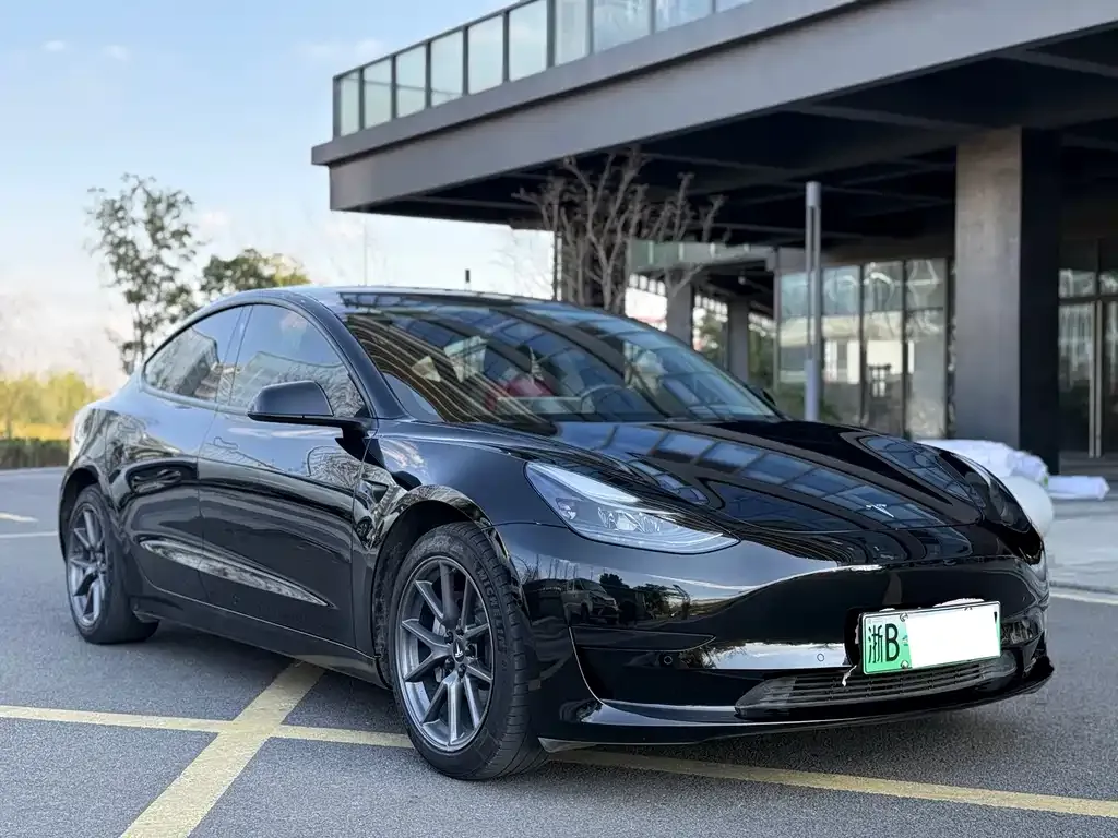 Tesla Model 3 2021 из CN, фото 7