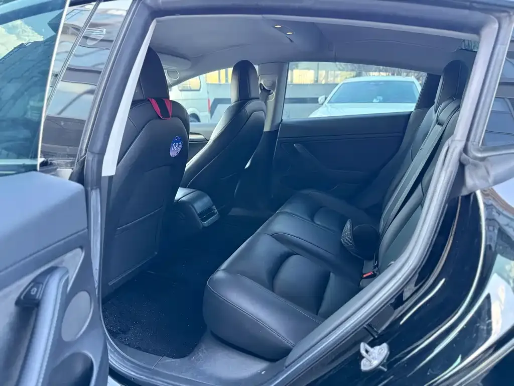 Tesla Model 3 2021 из CN, фото 3