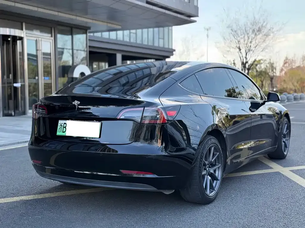 Tesla Model 3 2021 из CN, фото 6