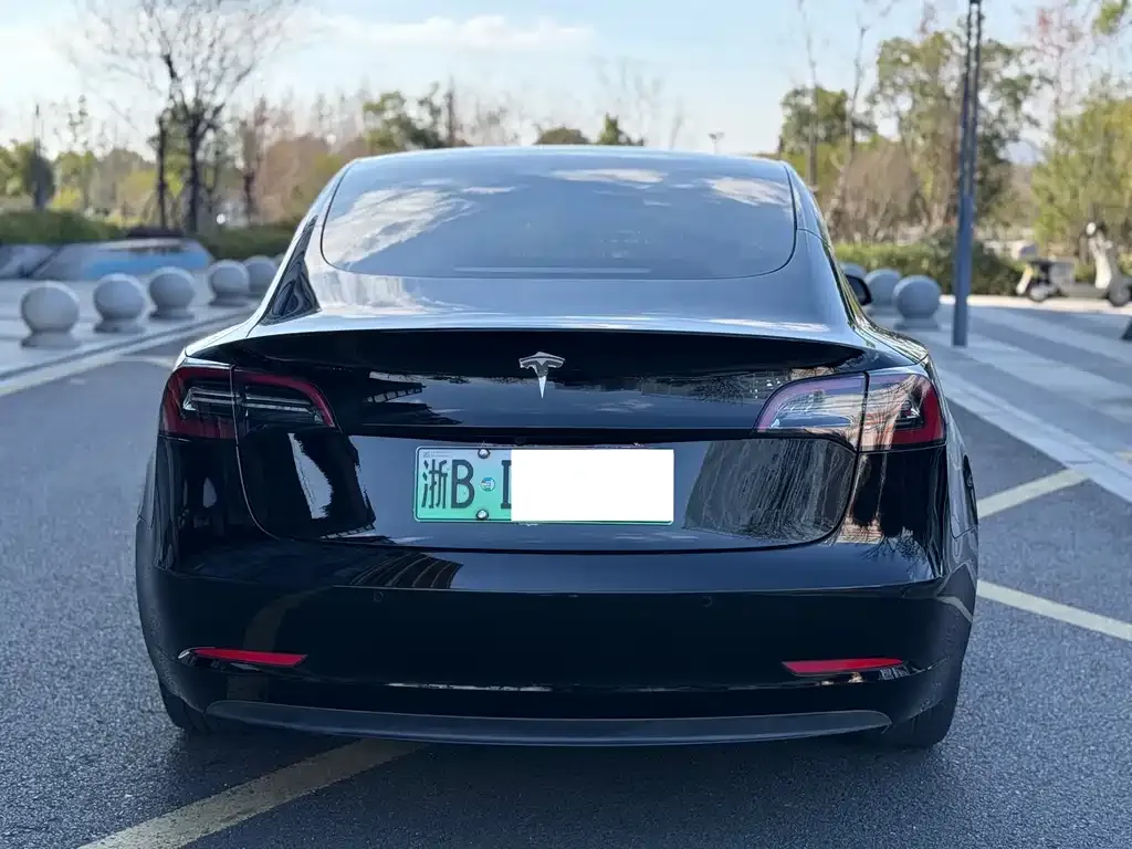 Tesla Model 3 2021 из CN, фото 8