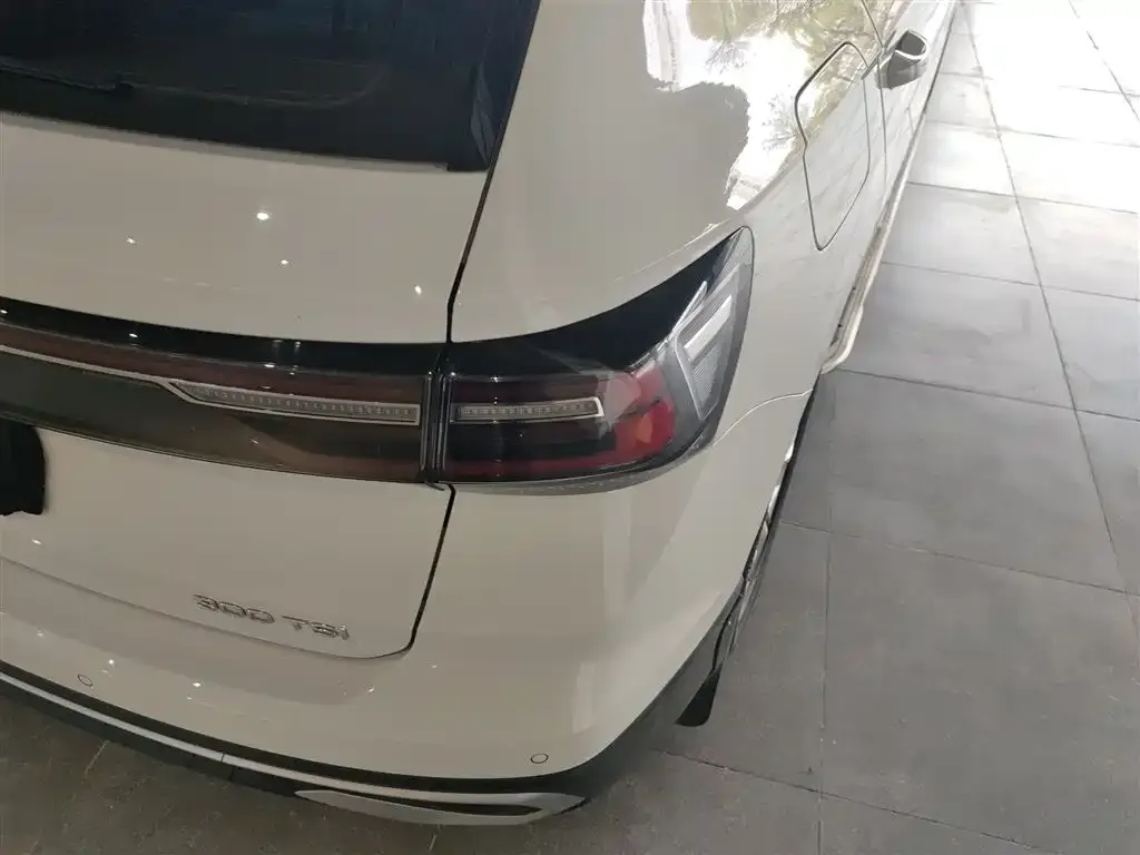 Volkswagen Tharu 2023 из CN, фото 2