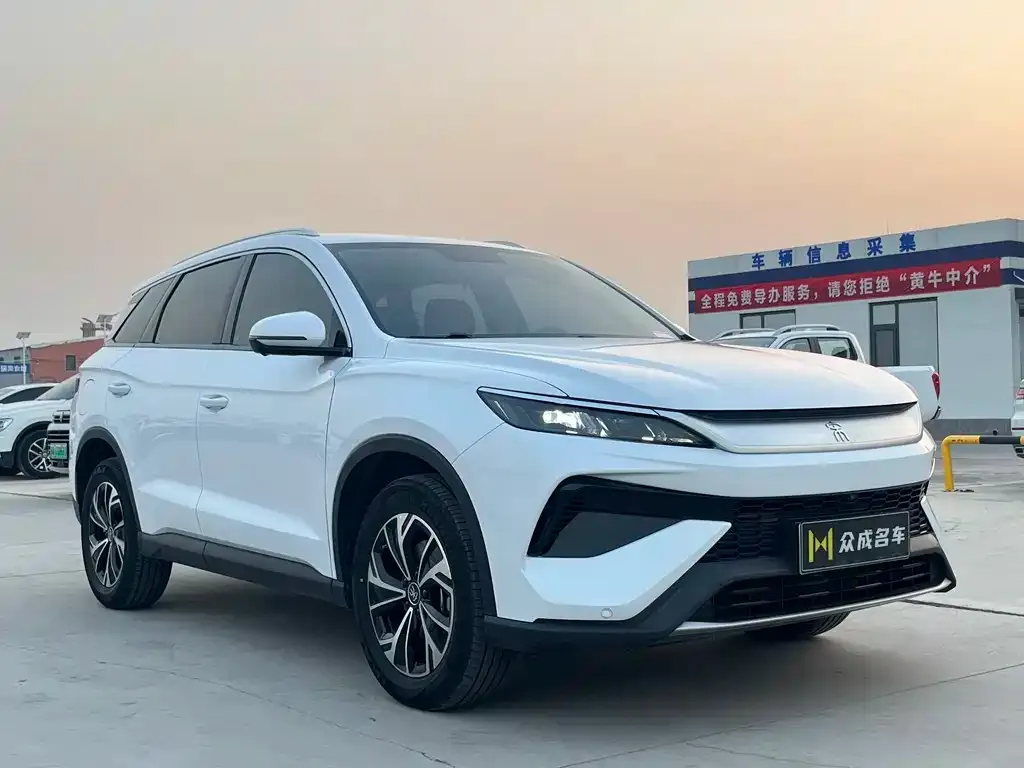 BYD Pro New Energy — фото 6