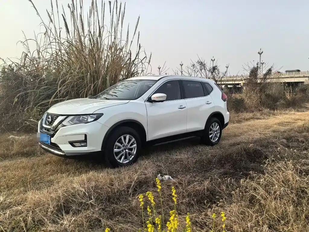 Nissan X-Trail 2021 из CN, фото 8