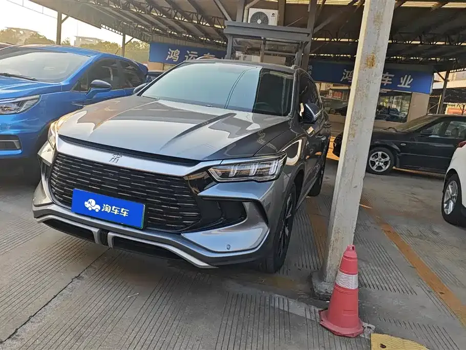 BYD Pro New Energy 2024 из CN, фото 1