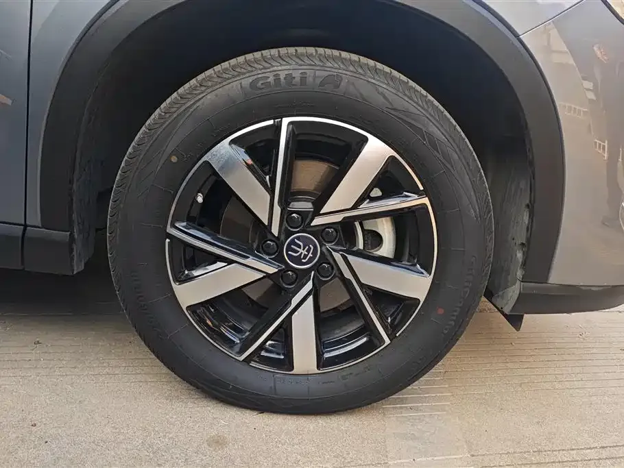 BYD Pro New Energy 2024 из CN, фото 8