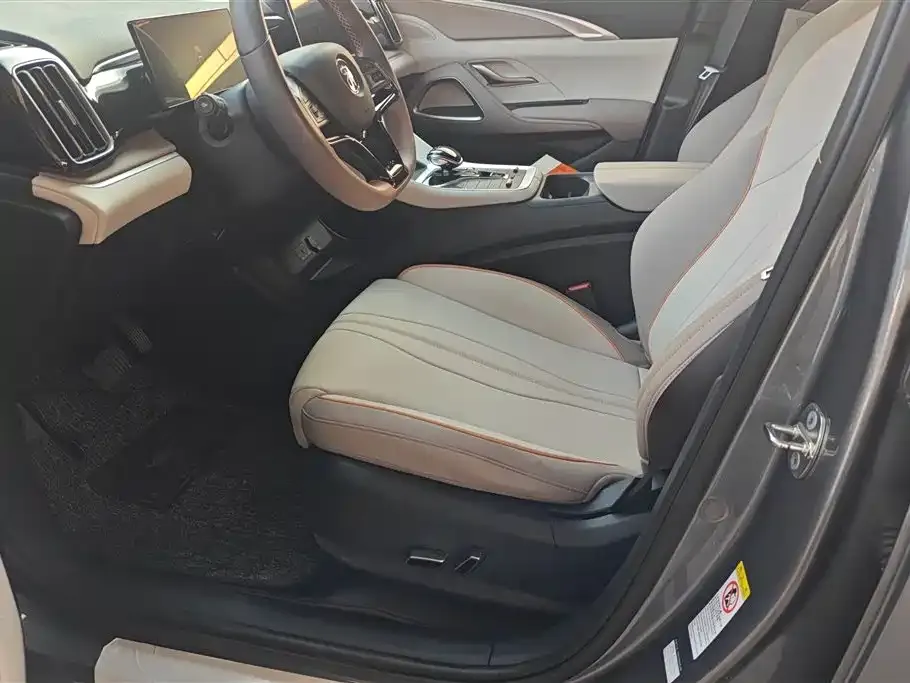 BYD Pro New Energy 2024 из CN, фото 5