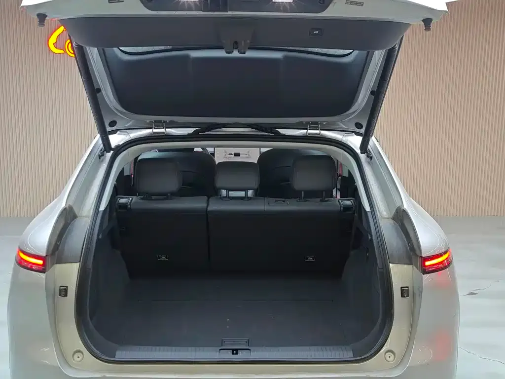 XPeng G6 2025 из CN, фото 5