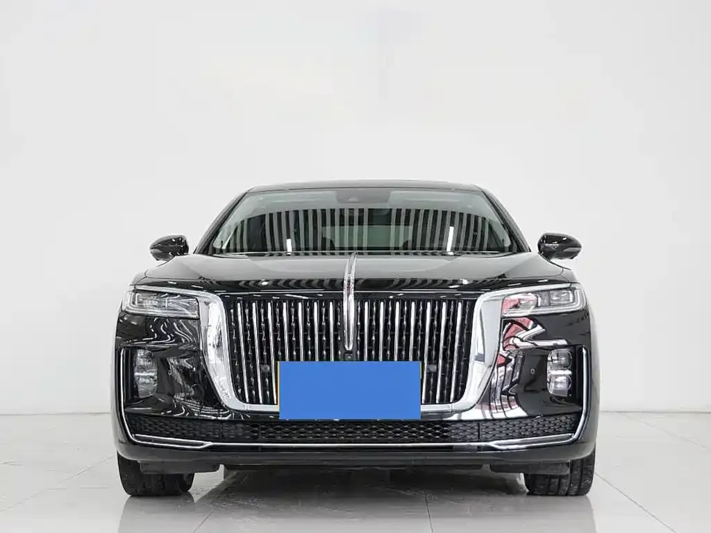 Hongqi H9 2021 из CN, фото 6