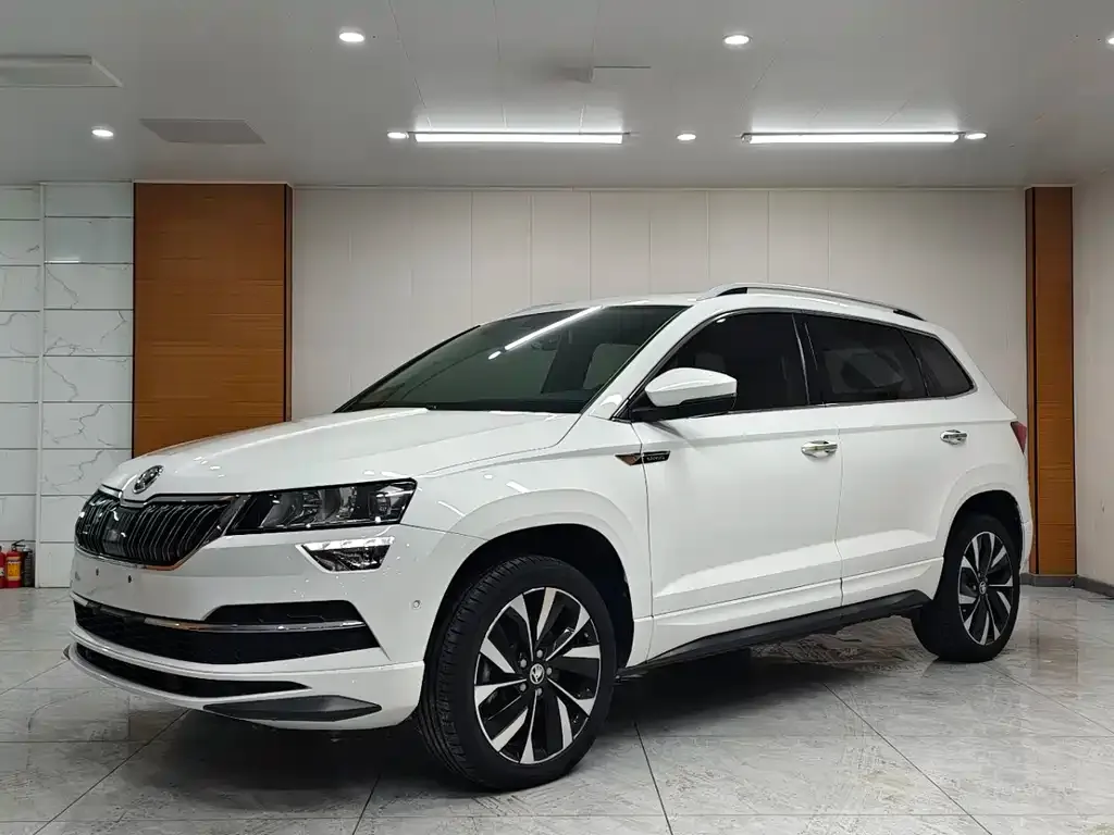 Skoda Karoq 2022 из CN, фото 1