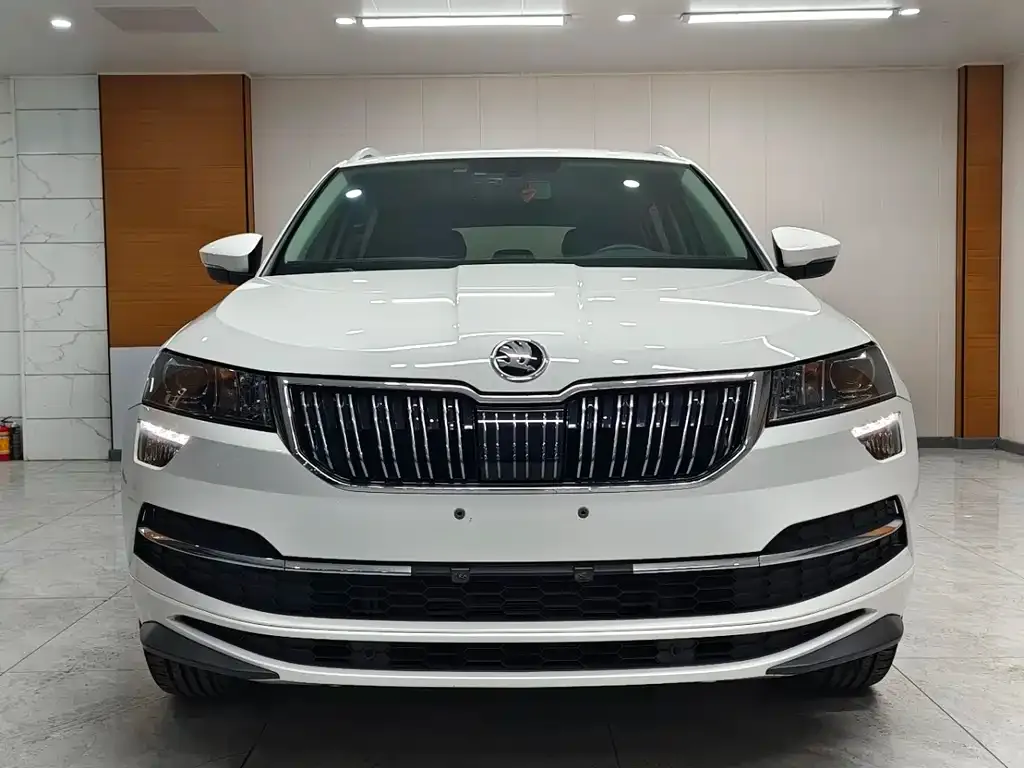 Skoda Karoq 2022 из CN, фото 3